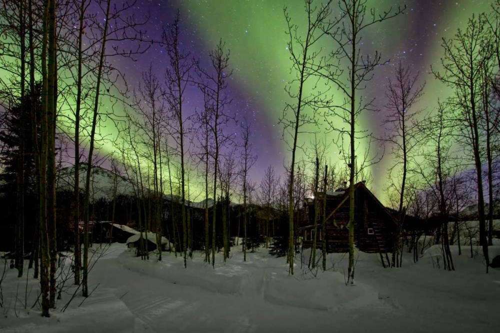 Aurora Borealis XII art print by Larry Malvin for $57.95 CAD