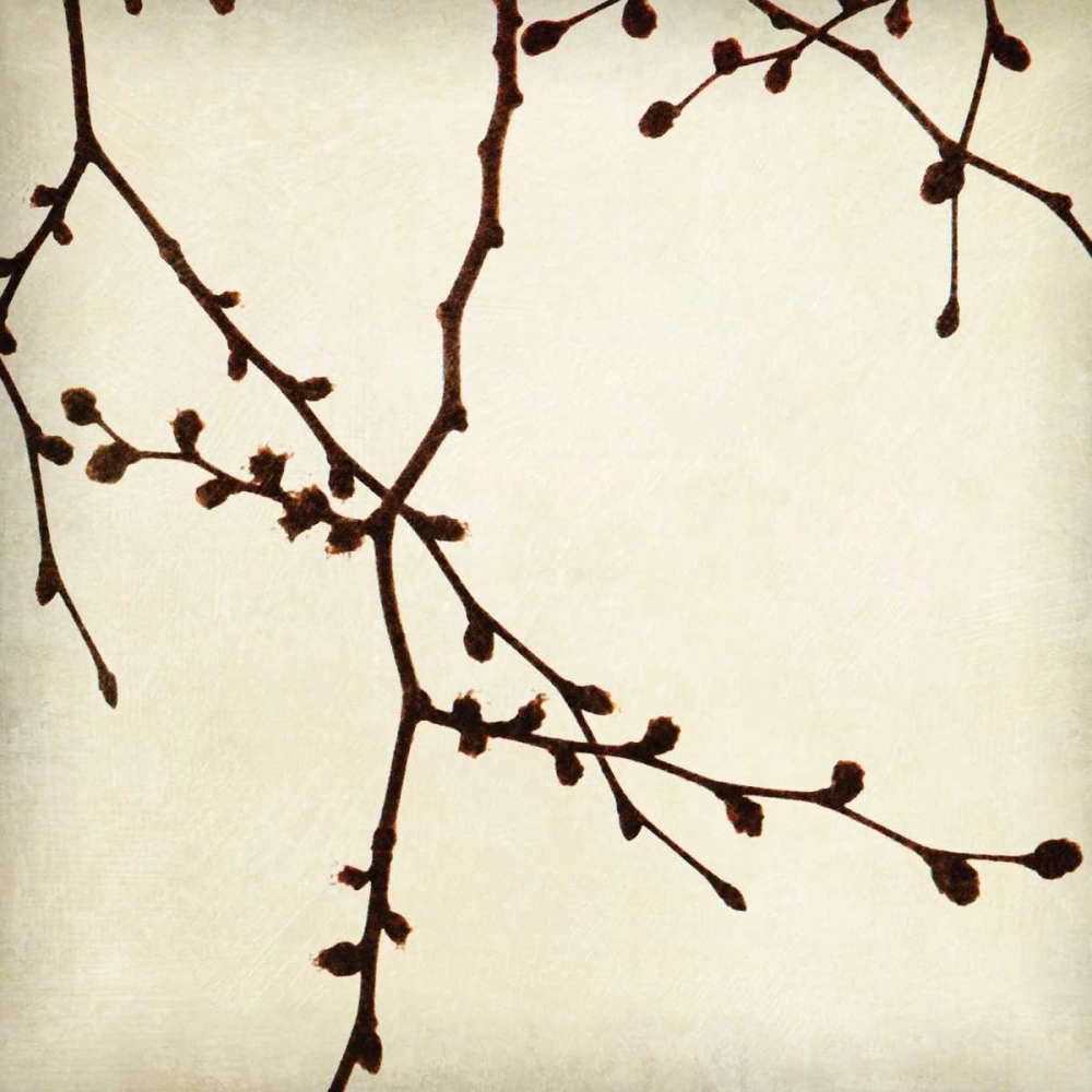 Branches I art print by Amy Melious for $57.95 CAD