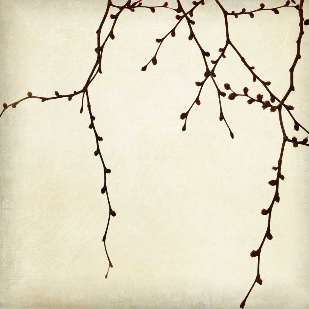 Branches II art print by Amy Melious for $57.95 CAD