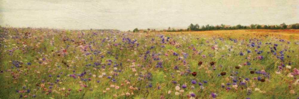 Wildflower Field I art print by Amy Melious for $57.95 CAD