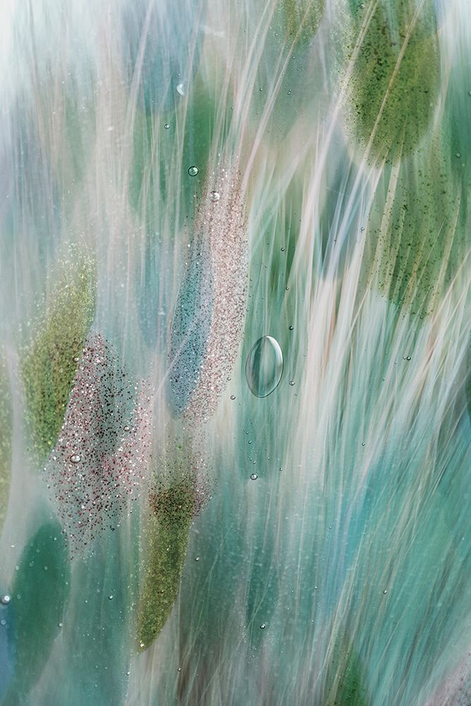 Gossamer Dreams II art print by Kathy Mahan for $57.95 CAD