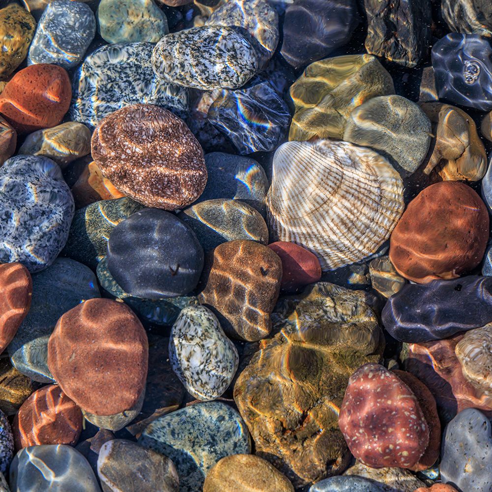 Beach Rocks I art print by Kathy Mahan for $57.95 CAD