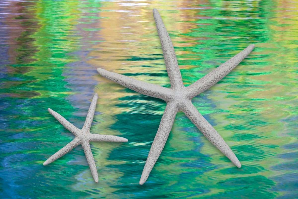 Starfish on Water II art print by Kathy Mahan for $57.95 CAD
