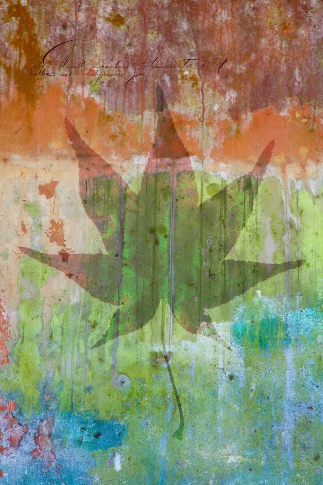 Maple Leaf I art print by Kathy Mahan for $57.95 CAD