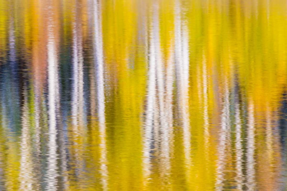 Reflections of Fall I art print by Kathy Mahan for $57.95 CAD