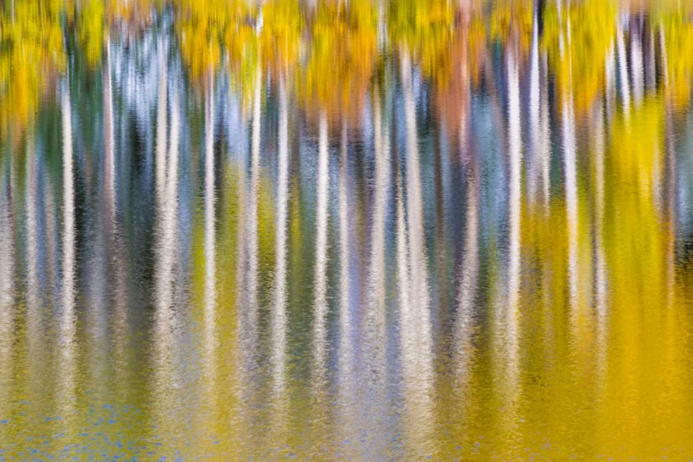 Reflections of Fall II art print by Kathy Mahan for $57.95 CAD
