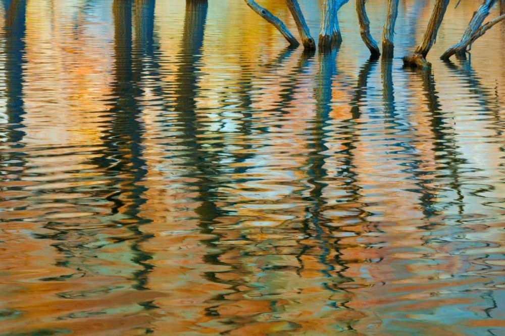 Lake Powell Reflections I art print by Kathy Mahan for $57.95 CAD