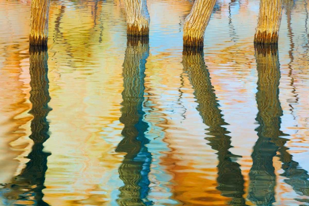 Lake Powell Reflections III art print by Kathy Mahan for $57.95 CAD