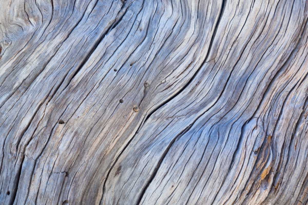 Weathered Wood IV art print by Kathy Mahan for $57.95 CAD
