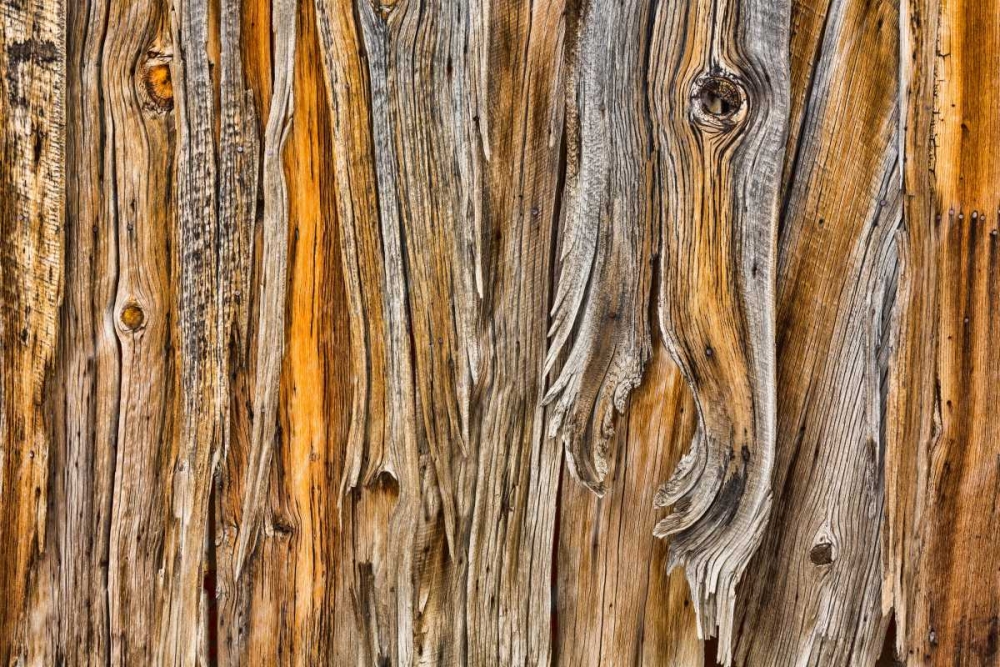 Weathered Wall II art print by Kathy Mahan for $57.95 CAD