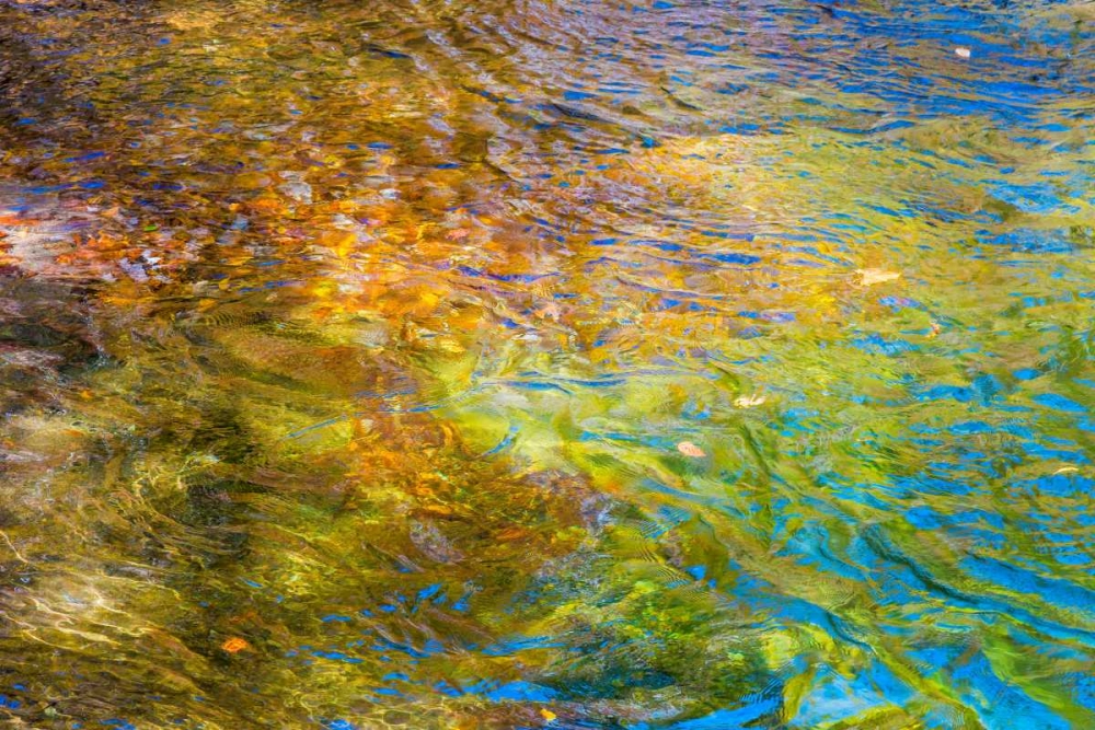Colorful Reflections I art print by Kathy Mahan for $57.95 CAD