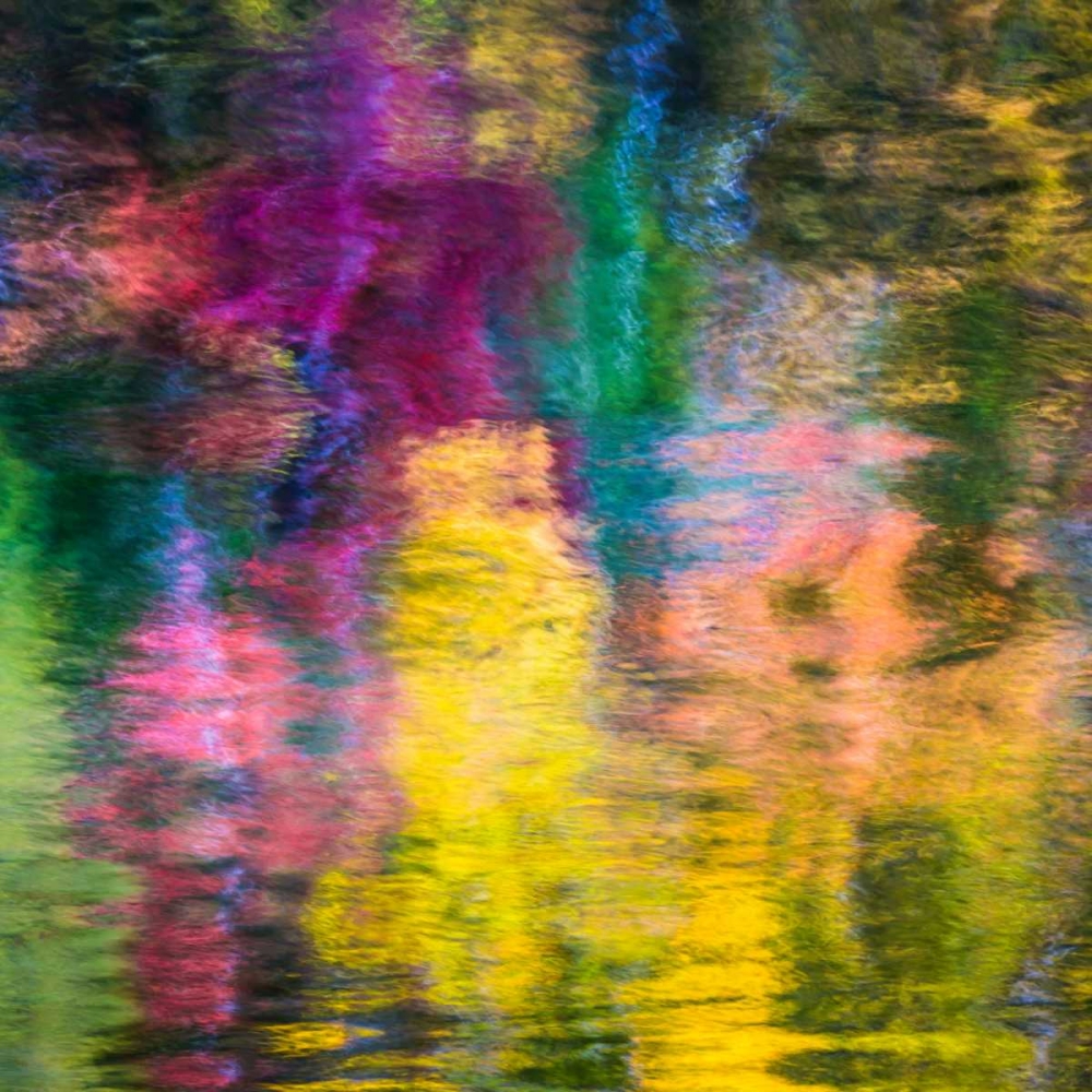 Colorful Reflections III art print by Kathy Mahan for $57.95 CAD