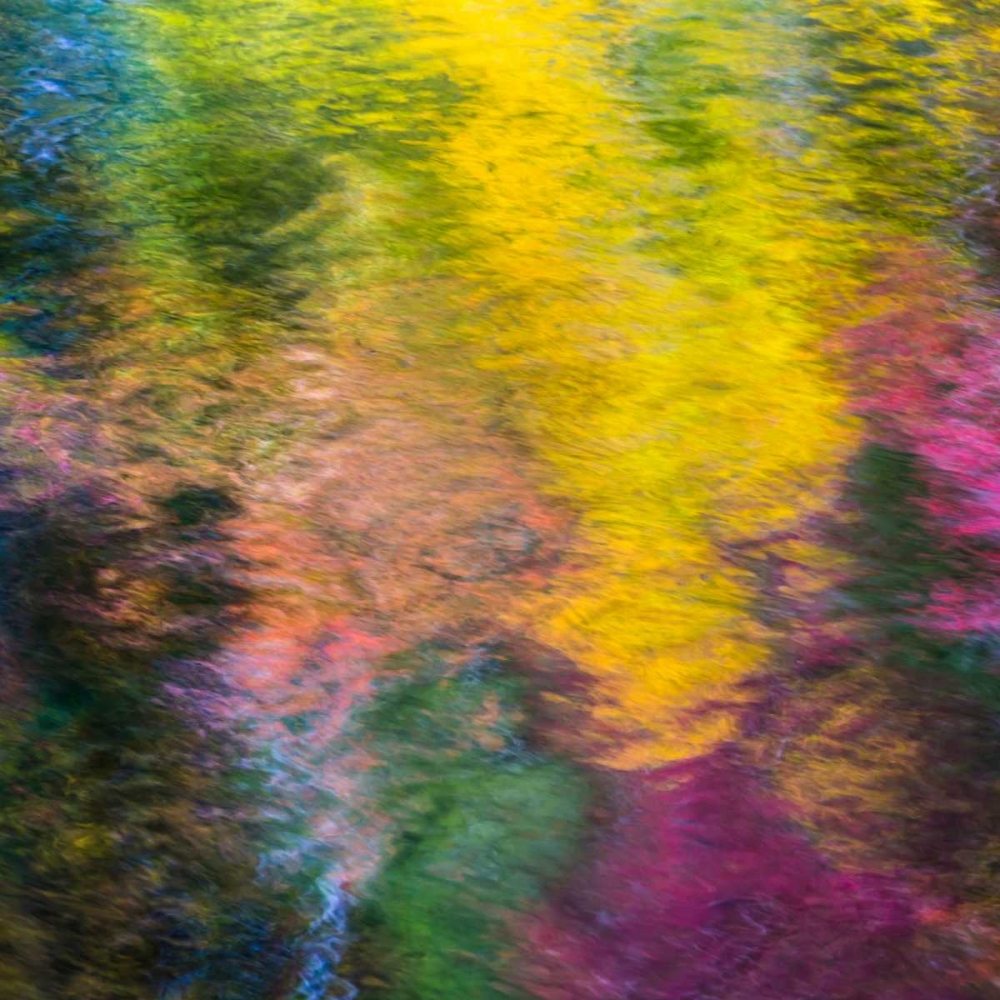 Colorful Reflections IV art print by Kathy Mahan for $57.95 CAD