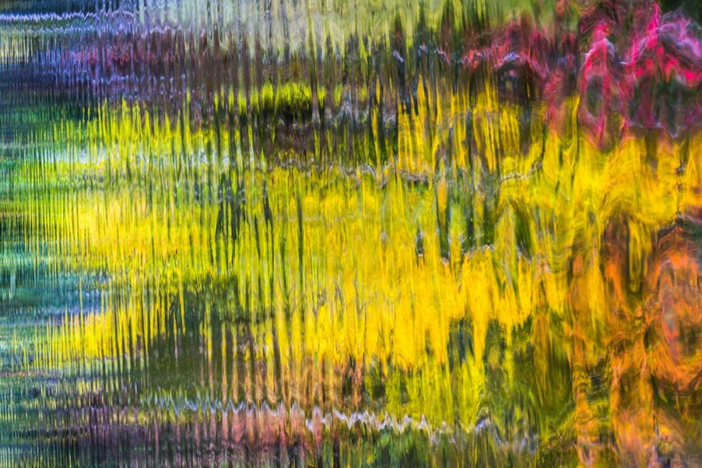 Colorful Reflections VI art print by Kathy Mahan for $57.95 CAD