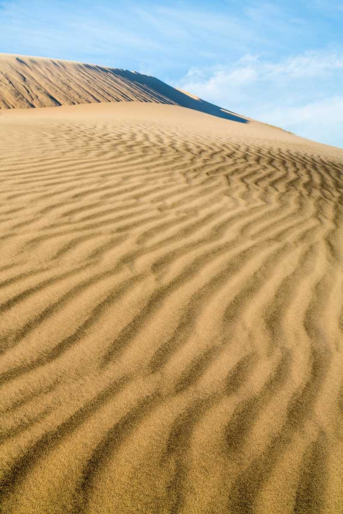 Kelso Dunes II art print by Kathy Mahan for $57.95 CAD
