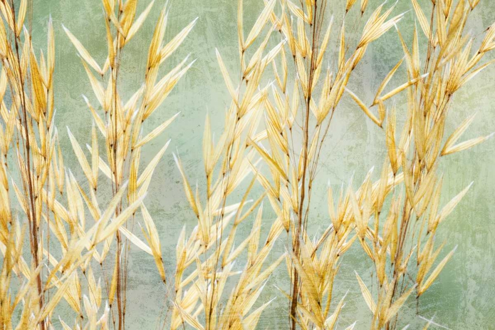 Golden Grasses art print by Kathy Mahan for $57.95 CAD