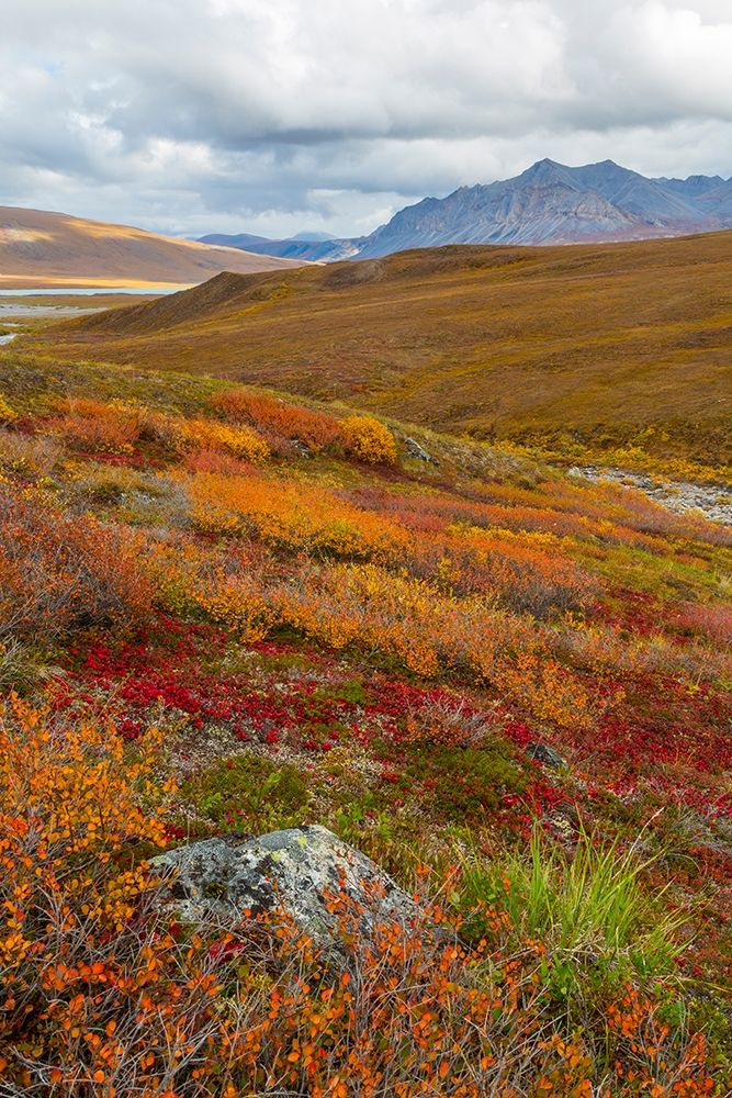 Arctic National Preserve II art print by Kathy Mahan for $57.95 CAD