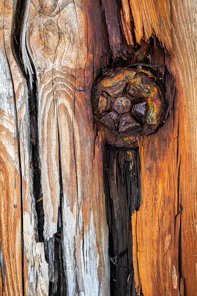 Wood Details I art print by Kathy Mahan for $57.95 CAD