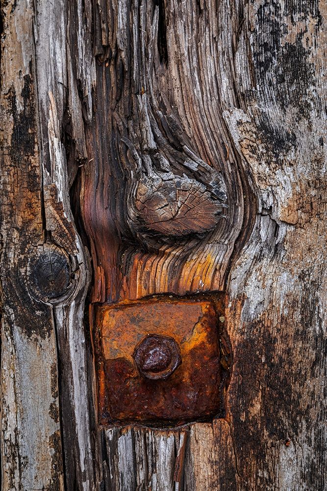 Wood Details II art print by Kathy Mahan for $57.95 CAD