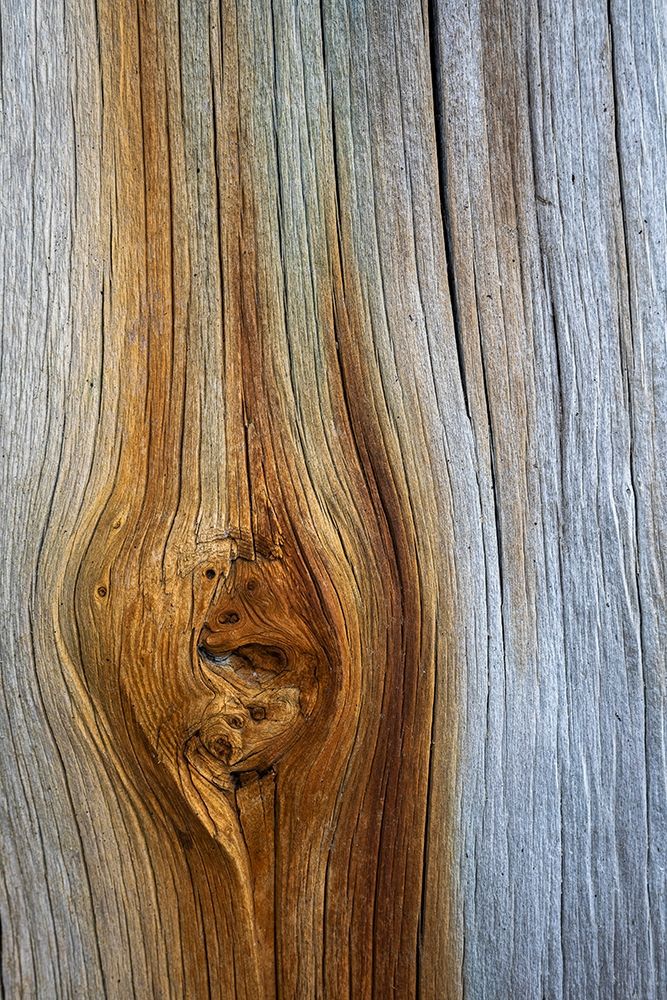 Wood Details III art print by Kathy Mahan for $57.95 CAD