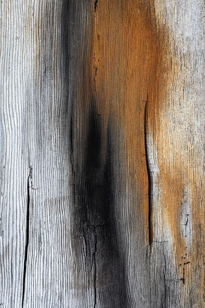 Wood Details IV art print by Kathy Mahan for $57.95 CAD