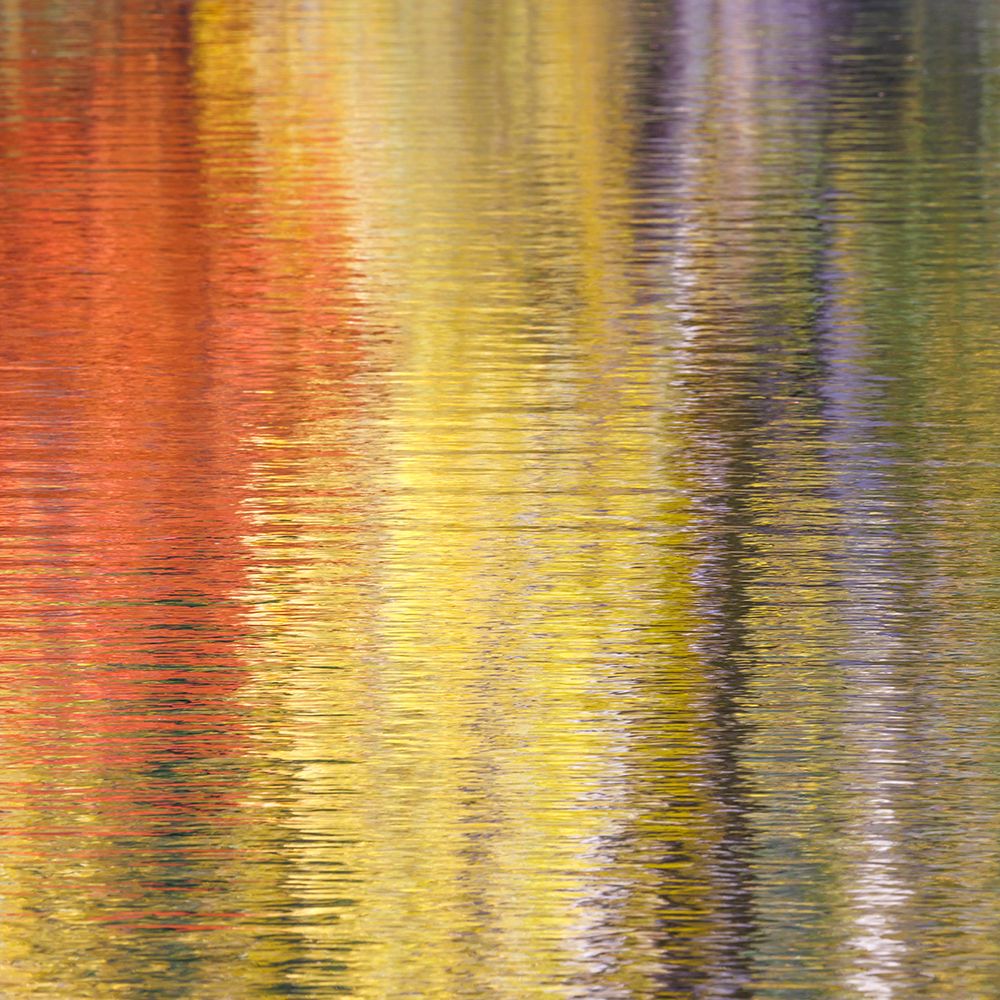 Fall Reflections IV art print by Kathy Mahan for $57.95 CAD