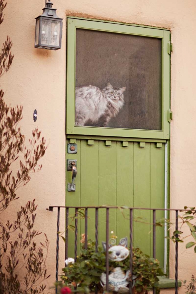 Kitty in the Window art print by Karyn Millet for $57.95 CAD