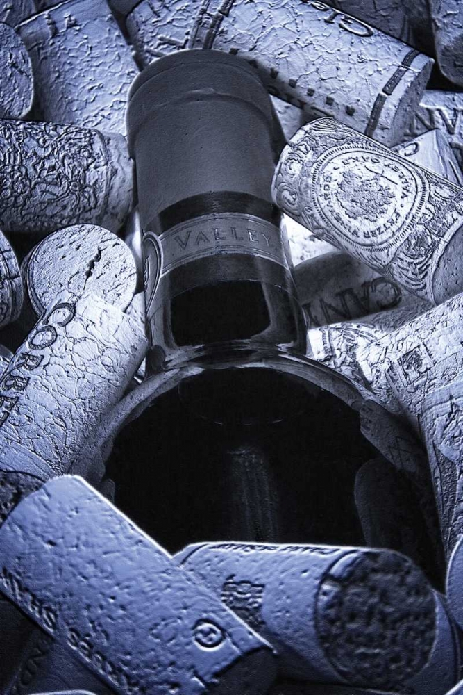 Buried Wine Bottle art print by C. Thomas McNemar for $57.95 CAD