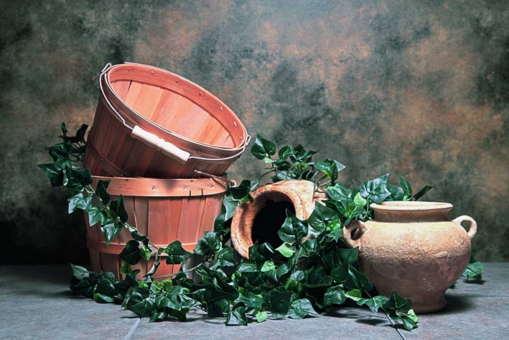 Pottery with Ivy II art print by C. Thomas McNemar for $57.95 CAD