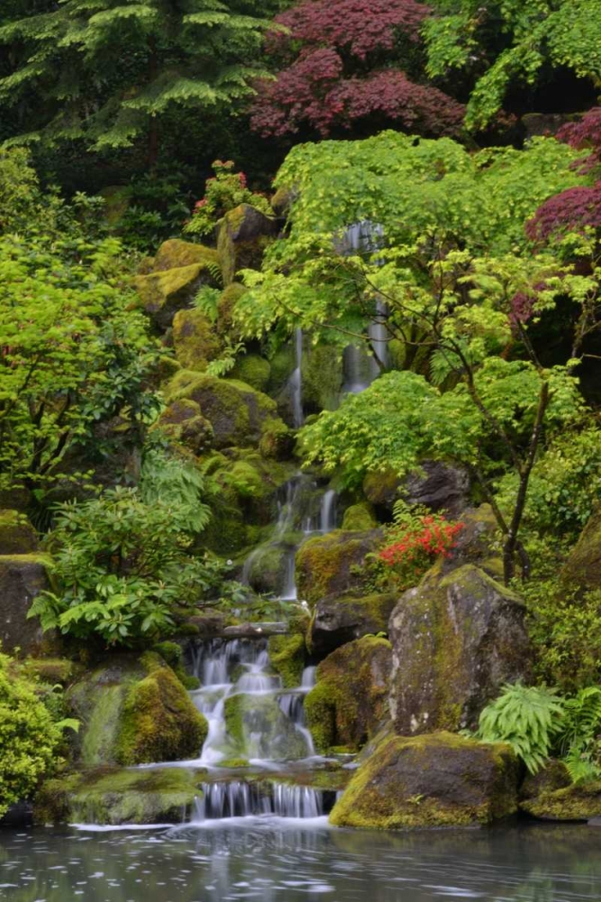 Japanese Gardens I art print by Brian Moore for $57.95 CAD