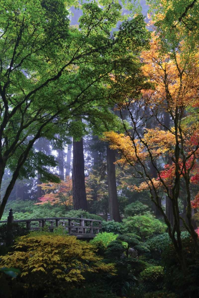 Japanese Gardens III art print by Brian Moore for $57.95 CAD