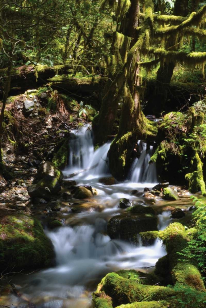 Falls in the Forest I art print by Brian Moore for $57.95 CAD
