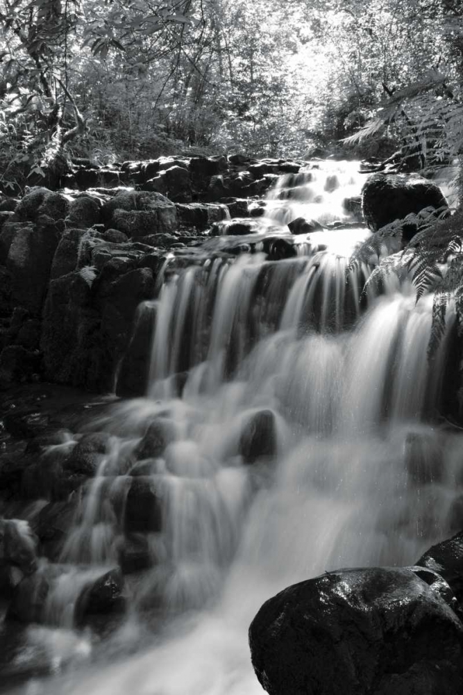BW Falls in the Forest III art print by Brian Moore for $57.95 CAD