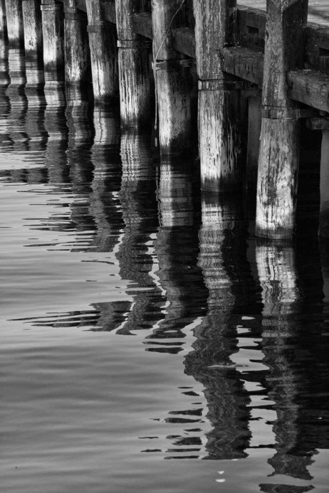 Pier Pilings VIII art print by Lee Peterson for $57.95 CAD
