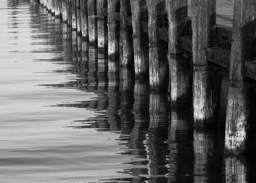 Pier Pilings XII art print by Lee Peterson for $57.95 CAD
