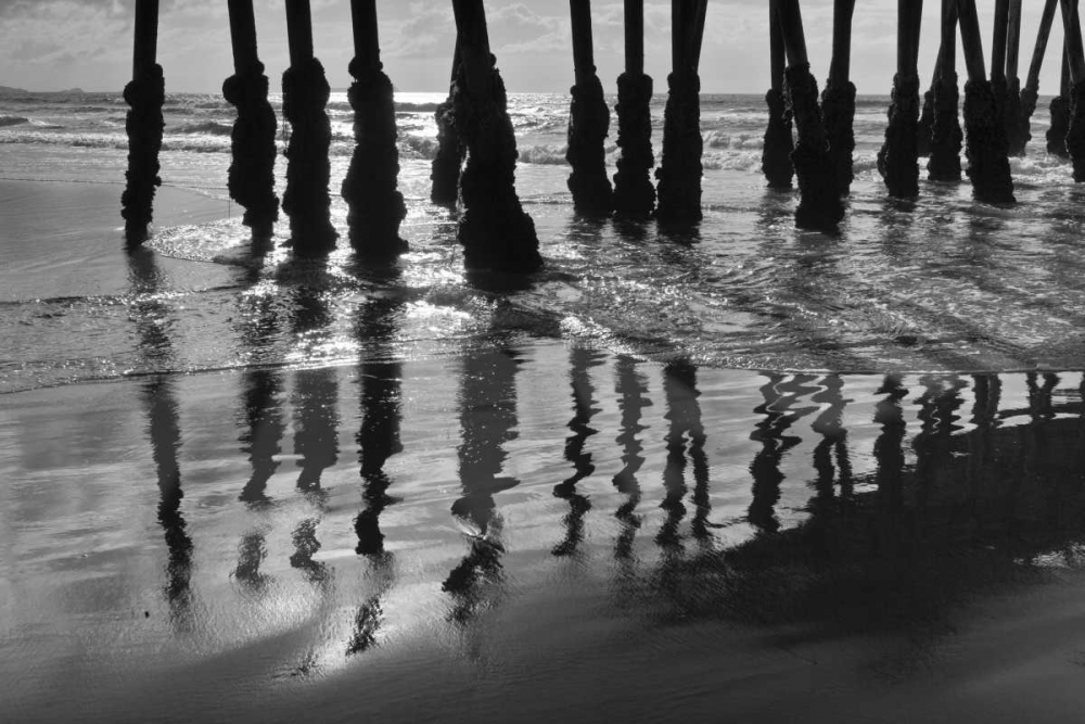 Pier Pilings XIII art print by Lee Peterson for $57.95 CAD