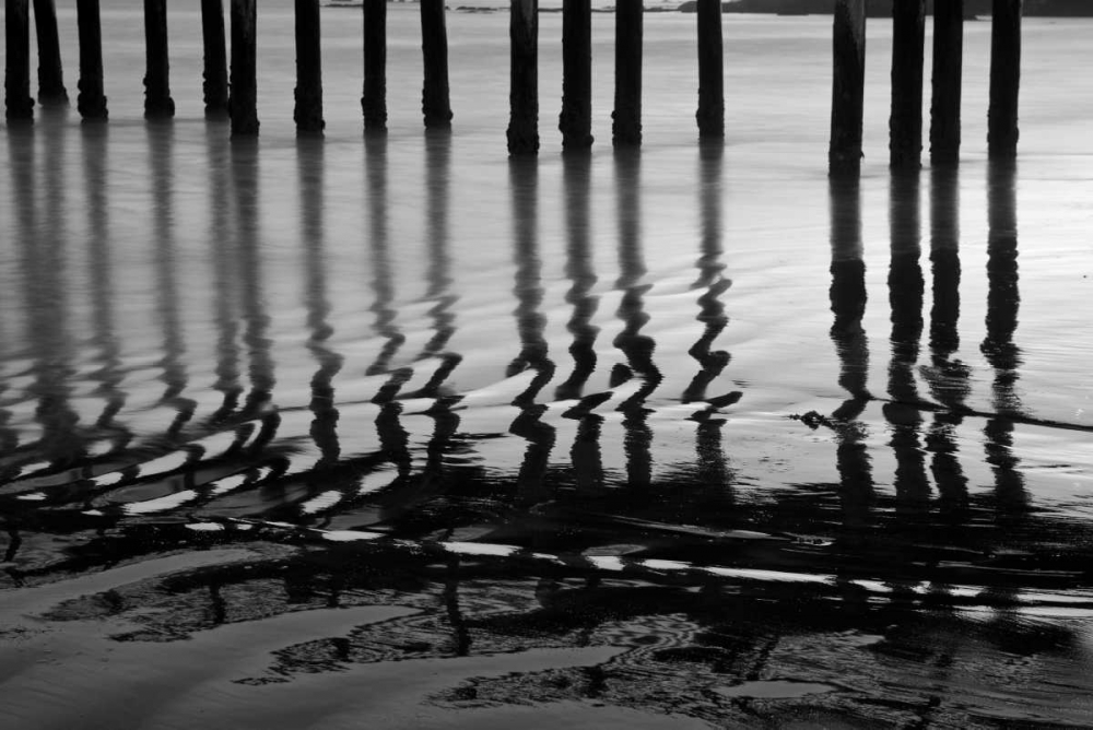 Pier Pilings XIV art print by Lee Peterson for $57.95 CAD