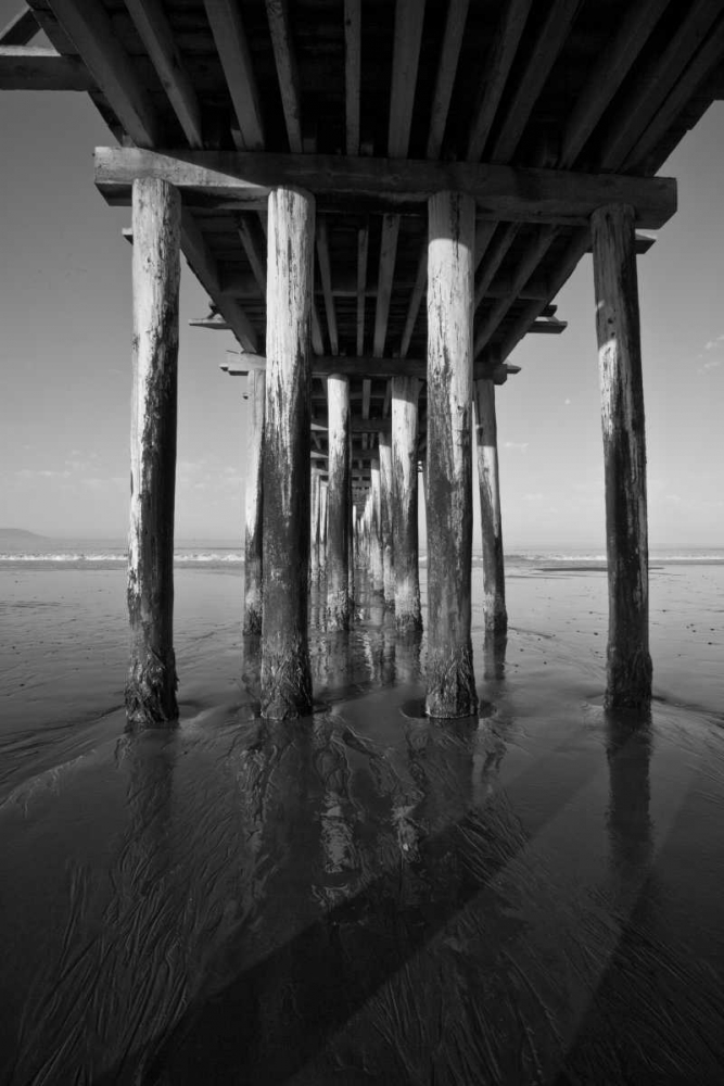 Pier Pilings XVI art print by Lee Peterson for $57.95 CAD