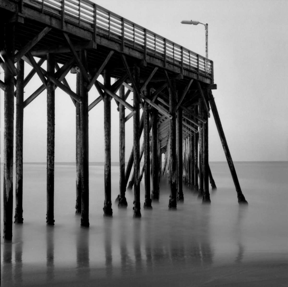 Pier Pilings XX art print by Lee Peterson for $57.95 CAD