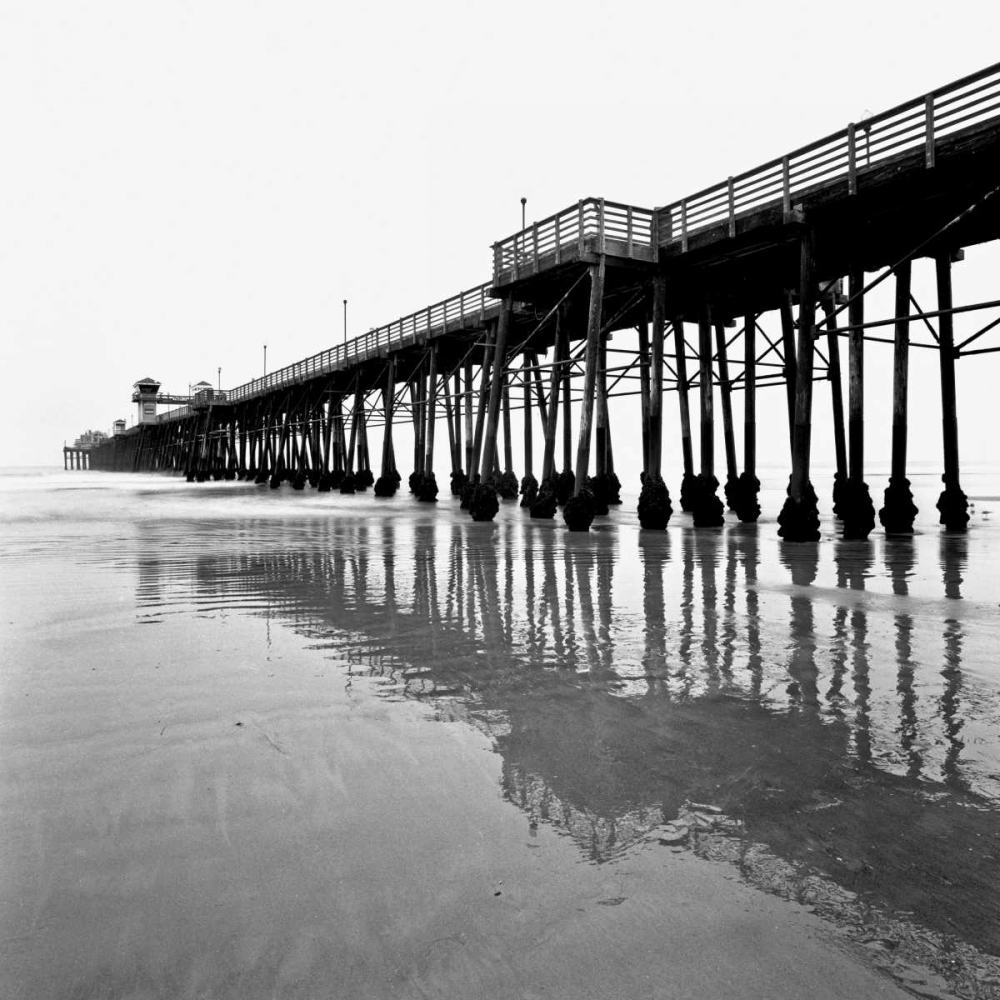 Pier Pilings XXI art print by Lee Peterson for $57.95 CAD