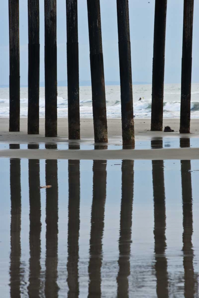 Pier Pilings II2 art print by Lee Peterson for $57.95 CAD