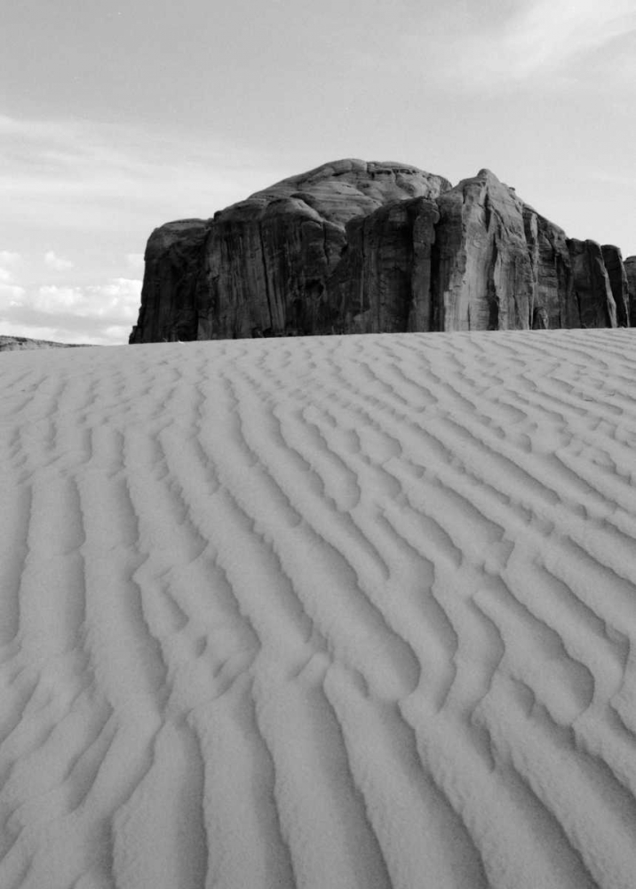 Sand Dune art print by Lee Peterson for $57.95 CAD