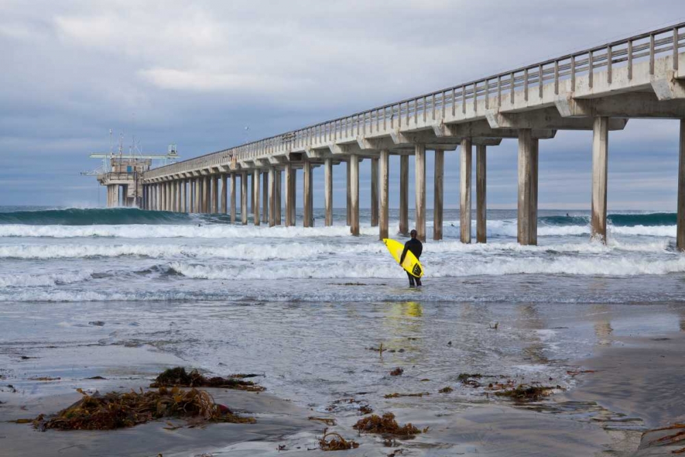 Scripps Pier I art print by Lee Peterson for $57.95 CAD