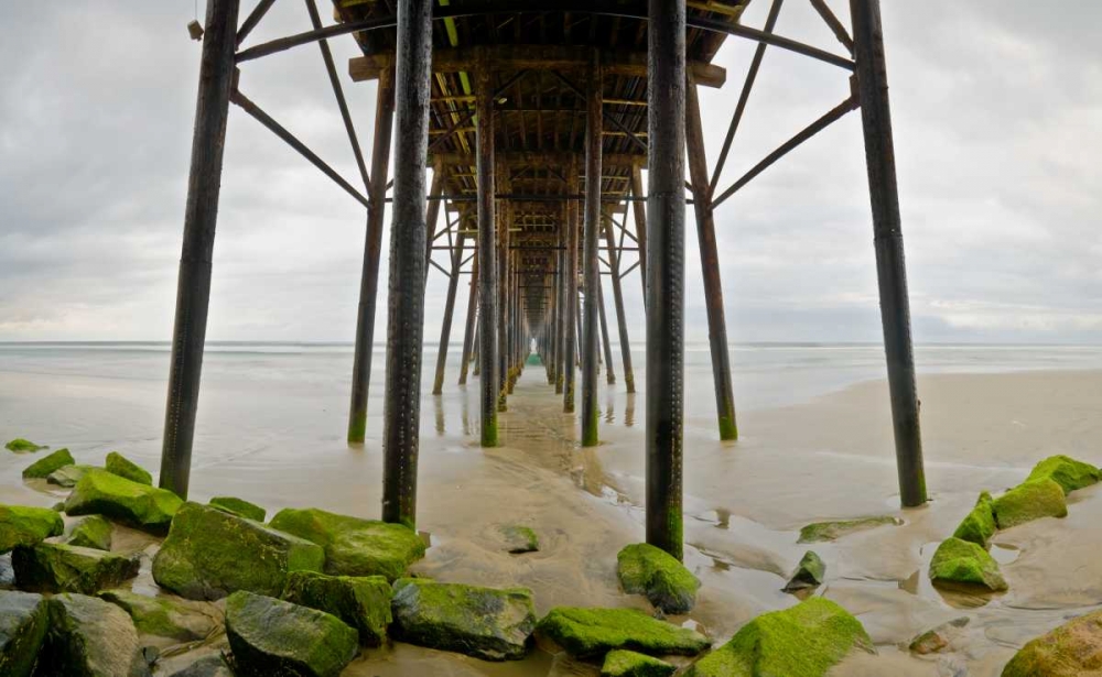 Under Oceanside Pier art print by Lee Peterson for $57.95 CAD