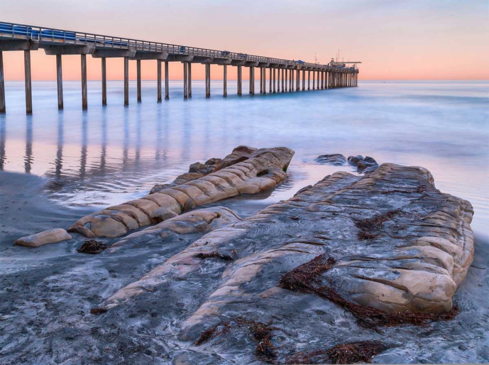 Scripps Pier III art print by Lee Peterson for $57.95 CAD