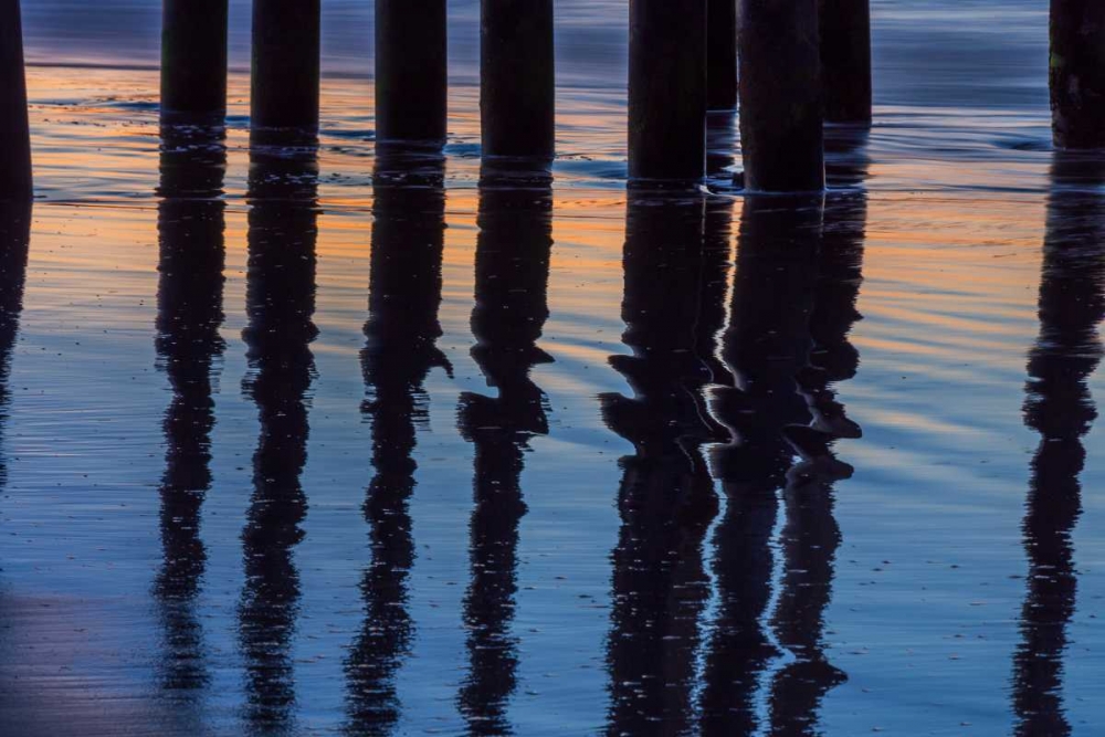 Ventura Pier Reflections I art print by Lee Peterson for $57.95 CAD