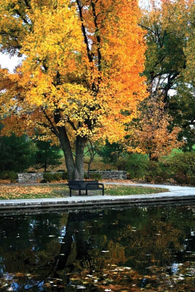 Fall in the Park art print by Tammy Putman for $57.95 CAD