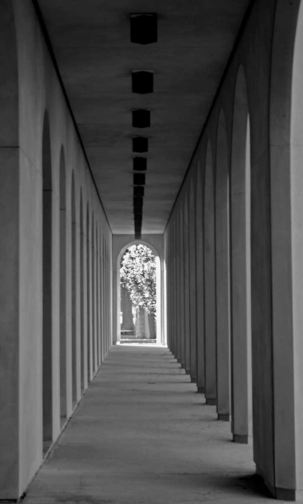 The Walkway art print by Tammy Putman for $57.95 CAD