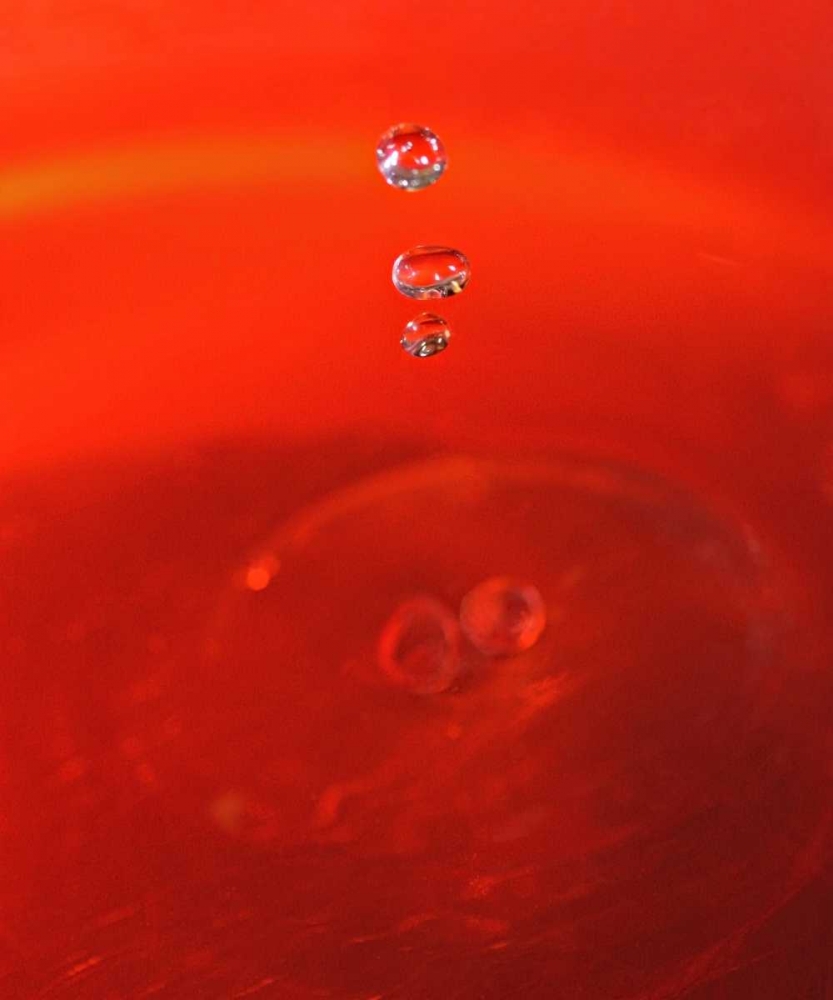 Red Drink Drop II art print by Tammy Putman for $57.95 CAD