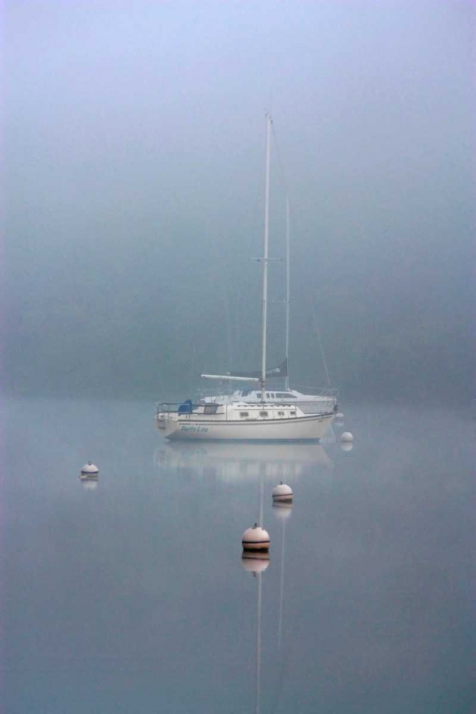 Foggy Morning art print by Tammy Putman for $57.95 CAD